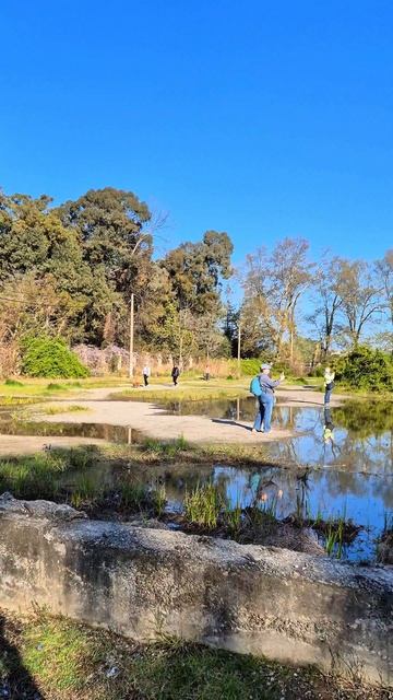 Цапля в Сириусе. Сочи