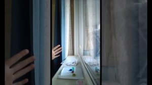 Я буду снимать про бумажных собак!