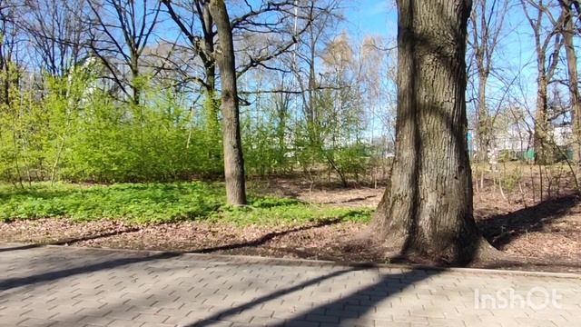 Погода улучшилась,но не надолго.