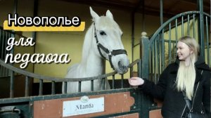 Заключительное занятие в КСК "Новополье": лошади, педагогика и инклюзия для студентов-заочников