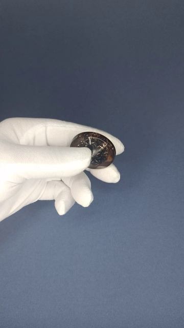 Пуговицы шоколад (р-р 60), Артикул 04468