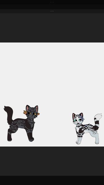 коты-воители история Белой жемчужины в двух словах