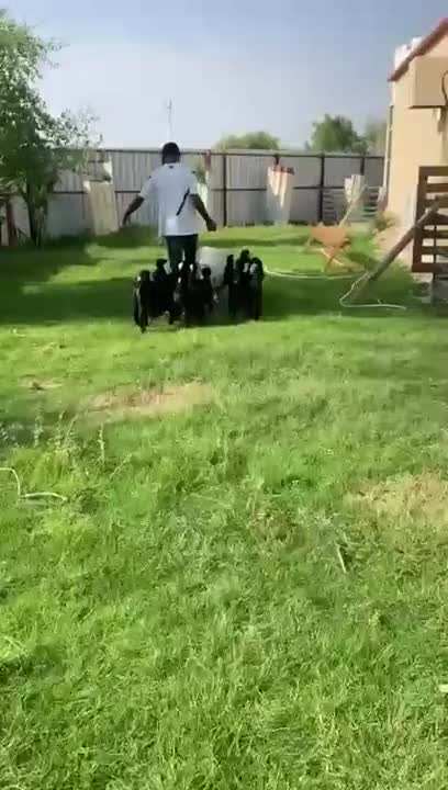 Пора завтракать!