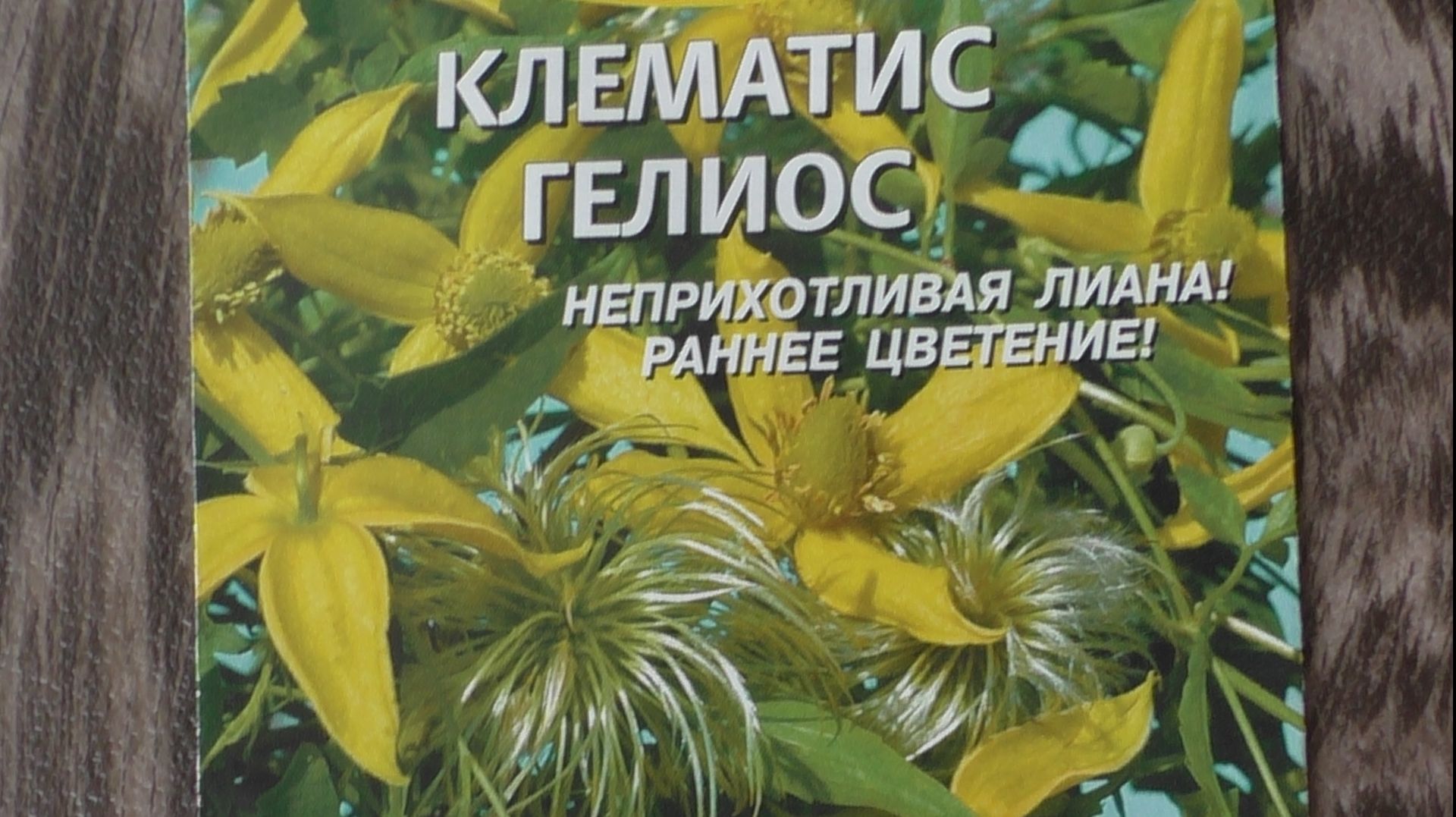 Посев клематиса на рассаду