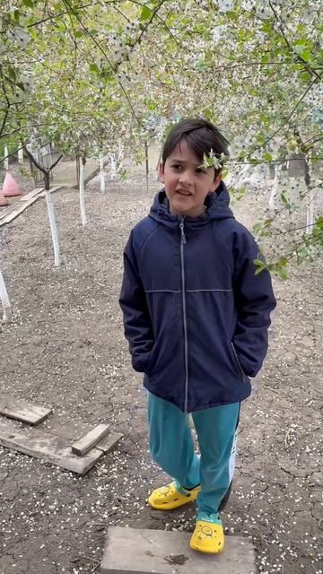 Жизнь в деревне