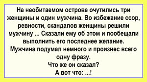 3 женщины и мужчина на острове! Подборка Пикантных, Остреньких, Жизненных Анекдотов! Юмор! Позитив!
