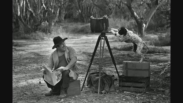 Знакомство с творчеством Педро Луис Раота (Pedro Luis Raota)