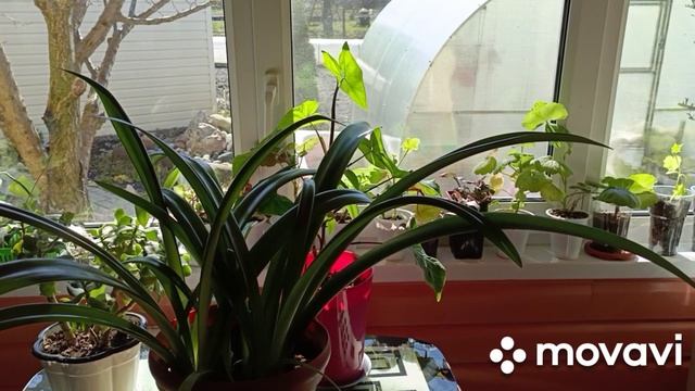 Щи на костре.Новый маникюр