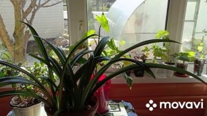 Щи на костре.Новый маникюр