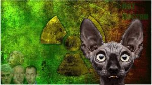 Всё плохо / Кот Костян