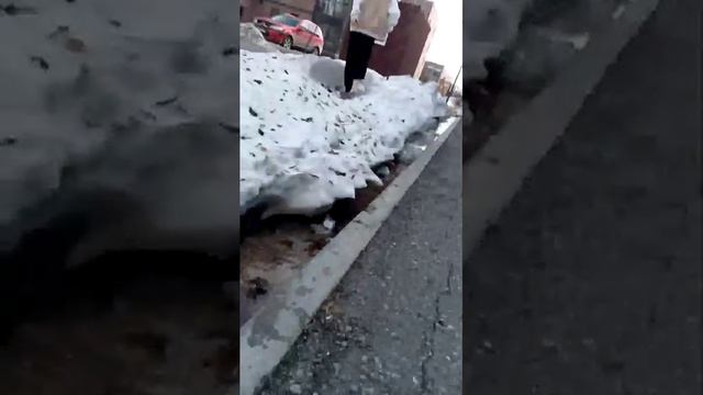 продолжение гулянки