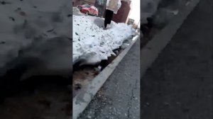 продолжение гулянки