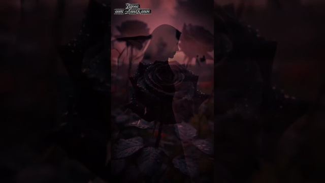 #Вдова авт: АннаКапач