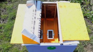 Вывод пчелиных маток