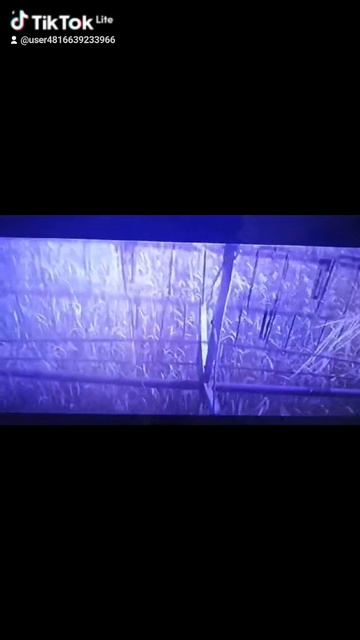 ad4acdb2-5a65-4f08-b636-89f85c9e8b68-watermark.mp4