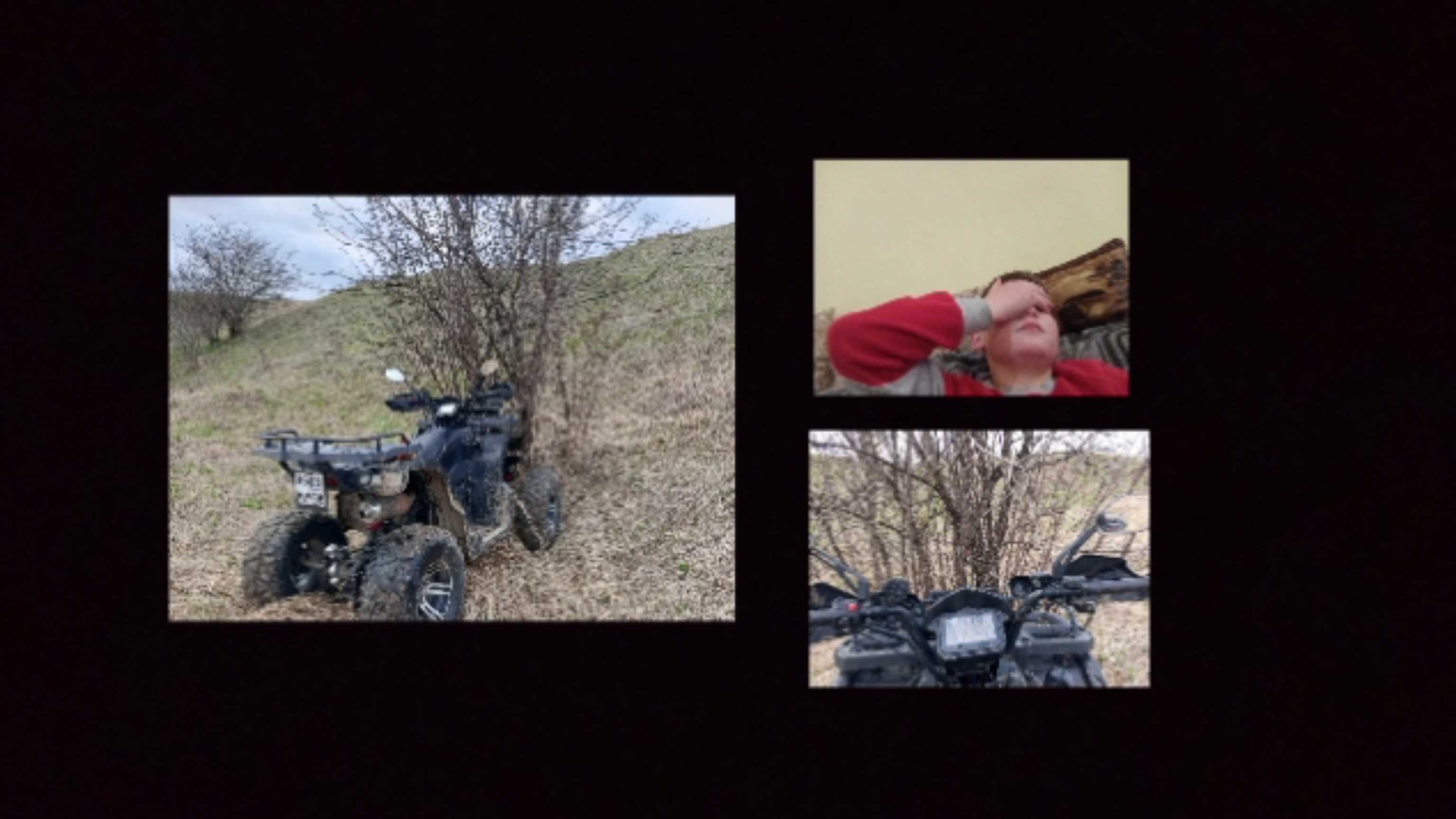 я врезался в дерево? все норм!