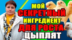 Мой СЕКРЕТНЫЙ ингредиент для РОСТА цыплят.