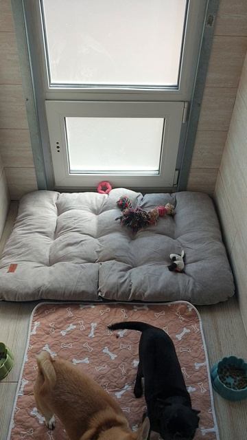 🐶💚🐈 Зооград, Балашиха 🐾💜🐾