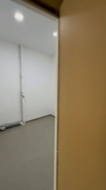 video_2026-04-25_15-24-17