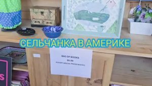 Сельчанка в Америке ПОСЛЕ РАБОТЫ ЕДУ В СЕКОНДХЕНД