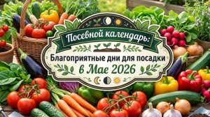 Посевной календарь: Благоприятные дни для посадки в Мае 2026