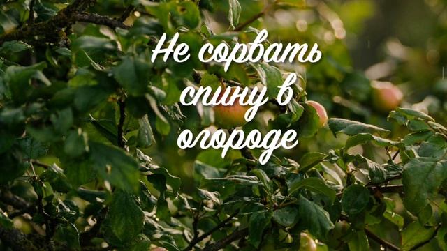 Чтобы не сорвать спину во время работы на огороде, поле, саду