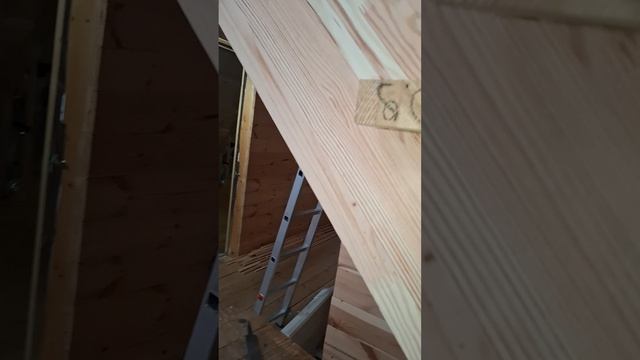 1000057011.mp4 (Собака наблюдает за устройством лестницы на 2-ой этаж в доме А-фрейм)