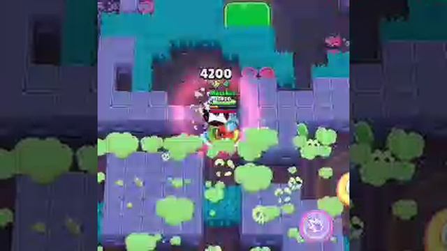 Шелли мощь!