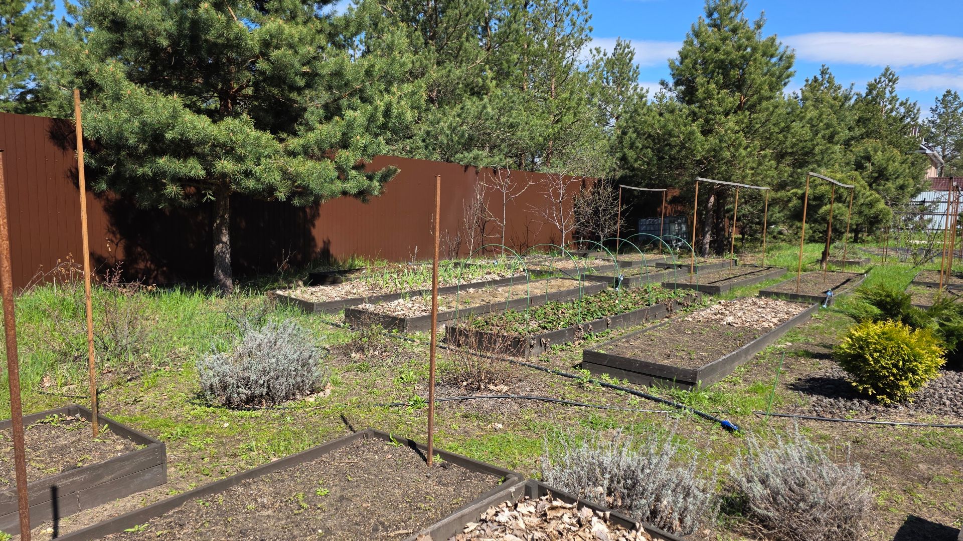 УЧАСТОК 25 АПРЕЛЯ 2026. ОБЗОР ТЕПЛИЦЫ-РАССАДНИКА.