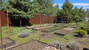 УЧАСТОК 25 АПРЕЛЯ 2026. ОБЗОР ТЕПЛИЦЫ-РАССАДНИКА.