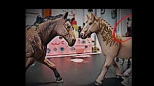 клип "животное каннибал"/🥀🐺‼️/"Animal Cannibol"😮💨