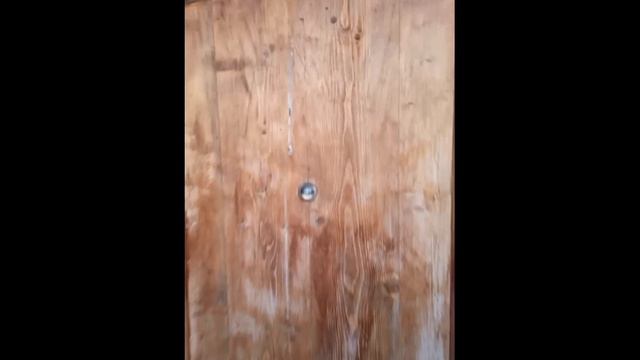 Хитрая дверь Tricky door