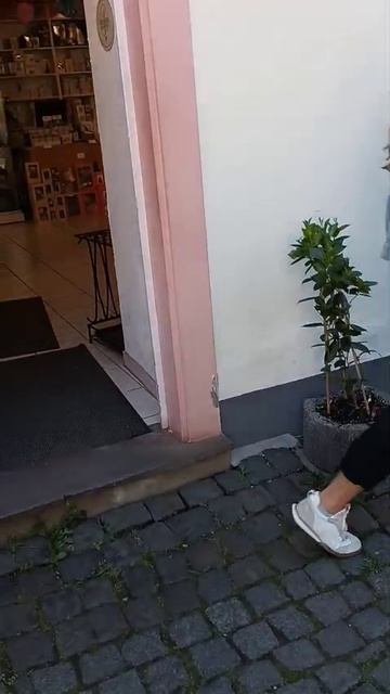 Rudesheim_am_Rhein Рюдесхайм на Рейне_25_04_2026