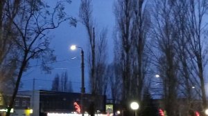 Вечерняя прогулка по парку 25-04-2026