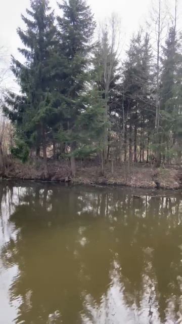 Весна в Подмосковье