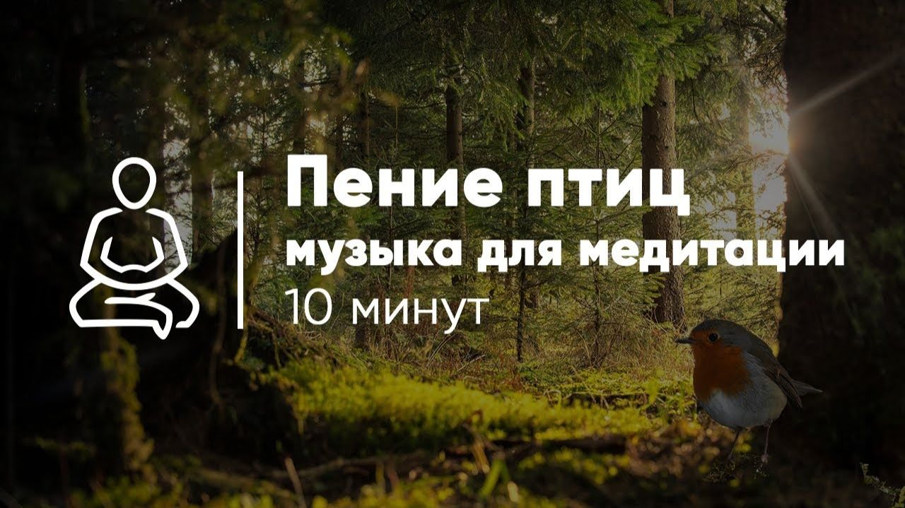 ПЕНИЕ ПТИЦ И МУЗЫКА ДЛЯ МЕДИТАЦИИ 10 минут