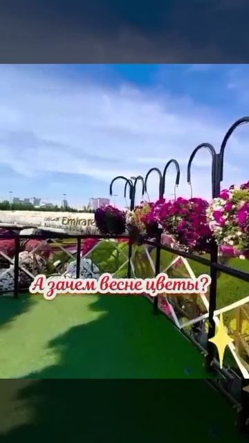 329cb1a6-503b-4a5f-a156-bba07b54e13d.mp4