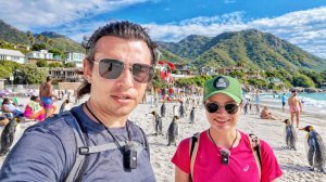 Кейптаун, ЮАР. Приехали и Офигели. Первые впечатления. Лучший город на земле с большими нюансами #1