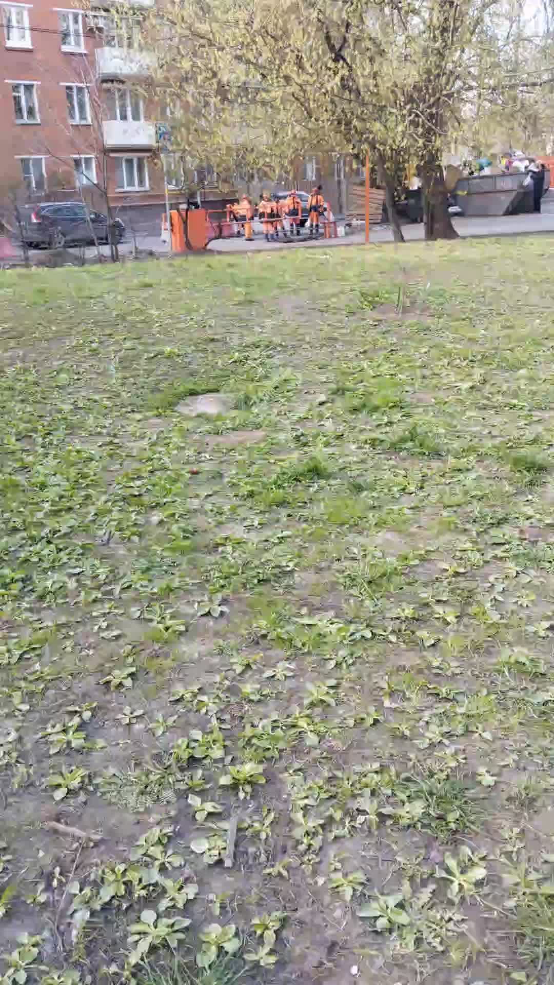 Покатушки на багги | 25-апр-2026