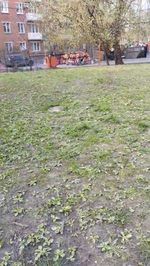 Покатушки на багги | 25-апр-2026