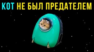 Приколы Among Us) Кот не был предателем)