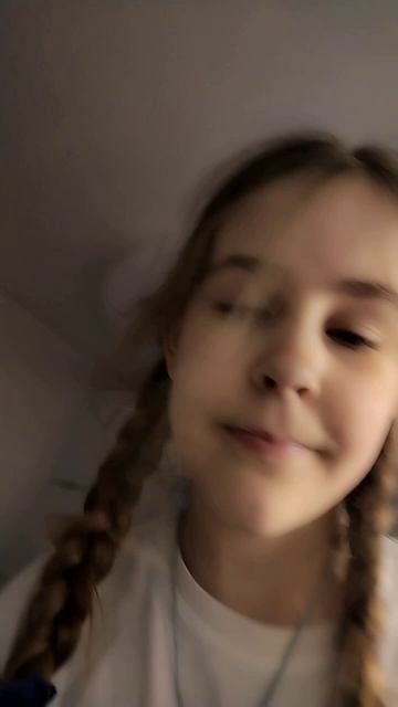 Обзор покупок для котёнка на первое время