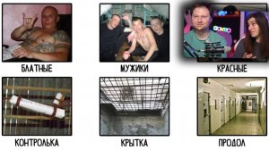 Объясняю тюремный сленг за 12 минут _ РЕАКЦИЯ