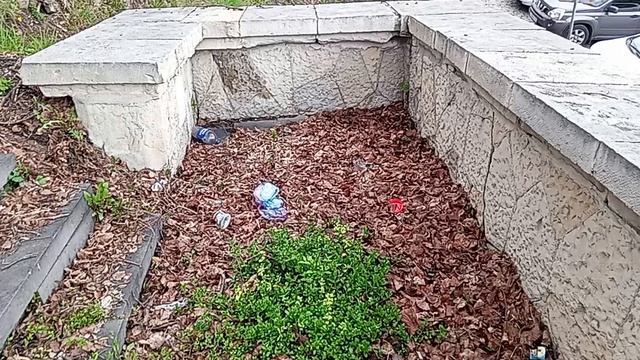 Кисловодский свинарник возле Каскадной лестницы!часть-1.25.04.2026 год.