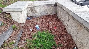 Кисловодский свинарник возле Каскадной лестницы!часть-1.25.04.2026 год.