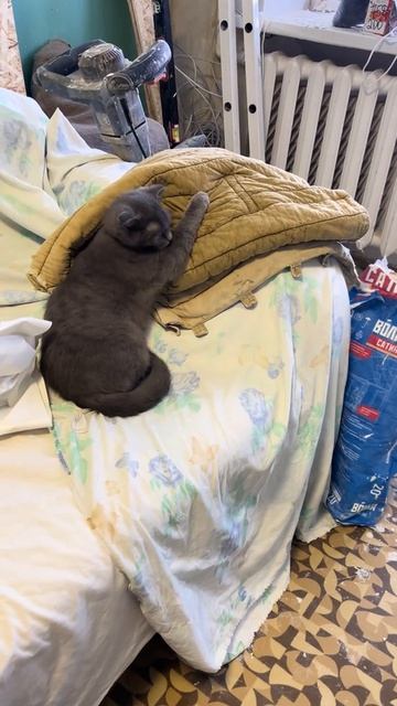 что-то там есть,вот только что?? #рек #сыщик