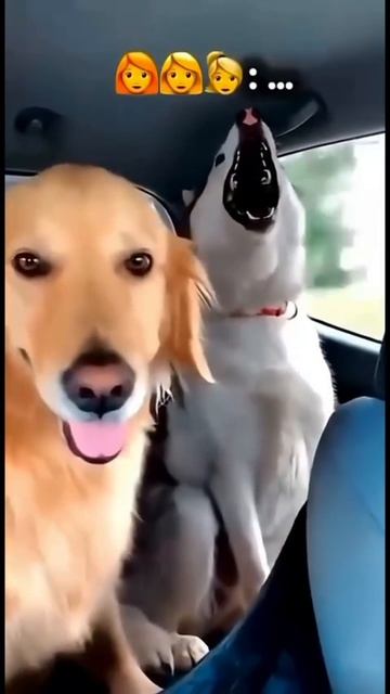 Жена с подругами