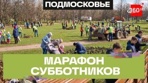 Марафон чистоты: во всех округах Подмосковья прошли субботники