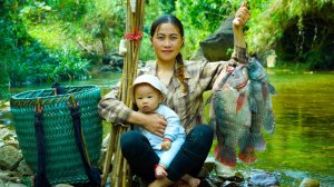 Дикая рыбалка с бамбуковой ловушкой: мать-одиночка ловит гигантских рыб и продает их на рынке.