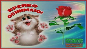 26 АПРЕЛЯ. ДЕНЬ"ОБНИМИ ДРУГА"